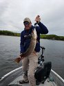 Kyle Shear - 20190603_095136
